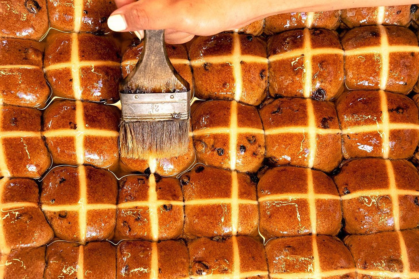 Rows of hot cross buns at Daily Bread.